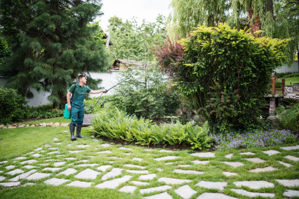 Best Best Pest Control Companies  in La Plata, MD