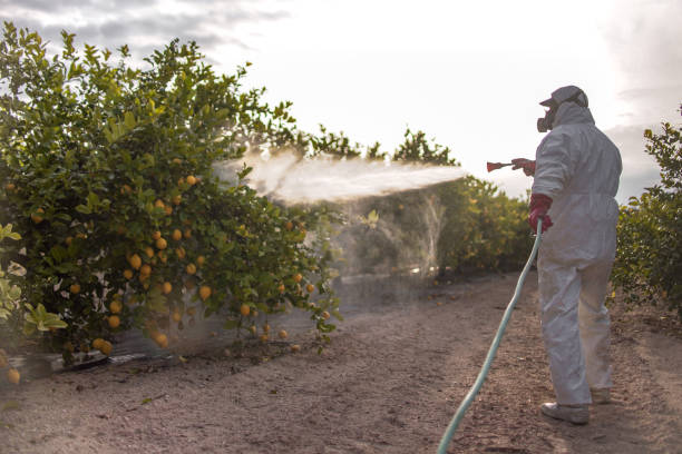 Best Affordable Pest Control Services  in La Plata, MD