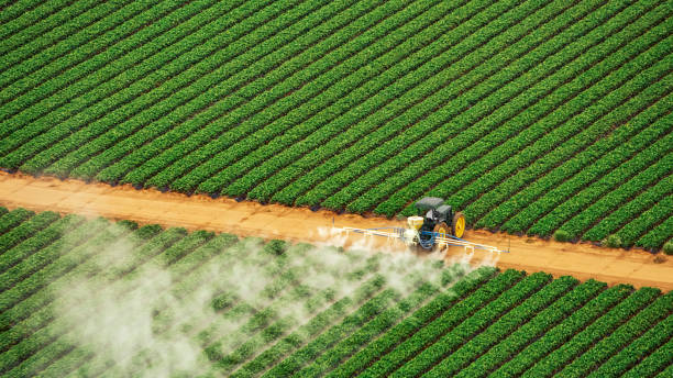 Pest Prevention Services in La Plata, MD