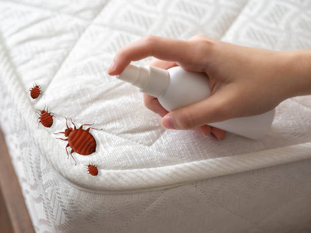 Best Pest Control Treatment  in La Plata, MD