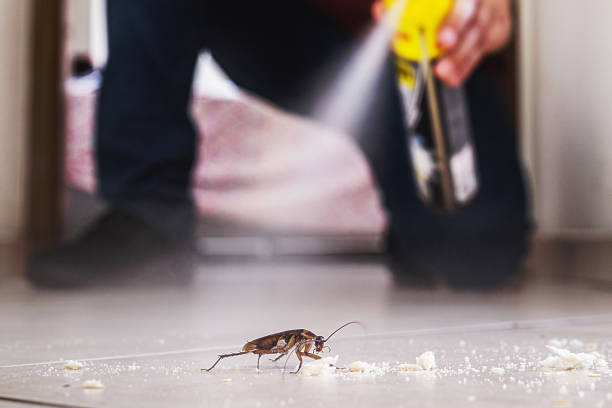 Best Cockroach Control Services  in La Plata, MD