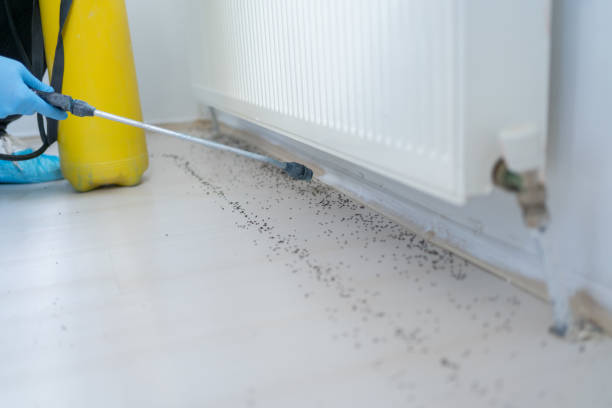 Best Commercial Pest Control Services  in La Plata, MD