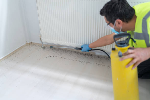 Best Pest Control for Homes  in La Plata, MD